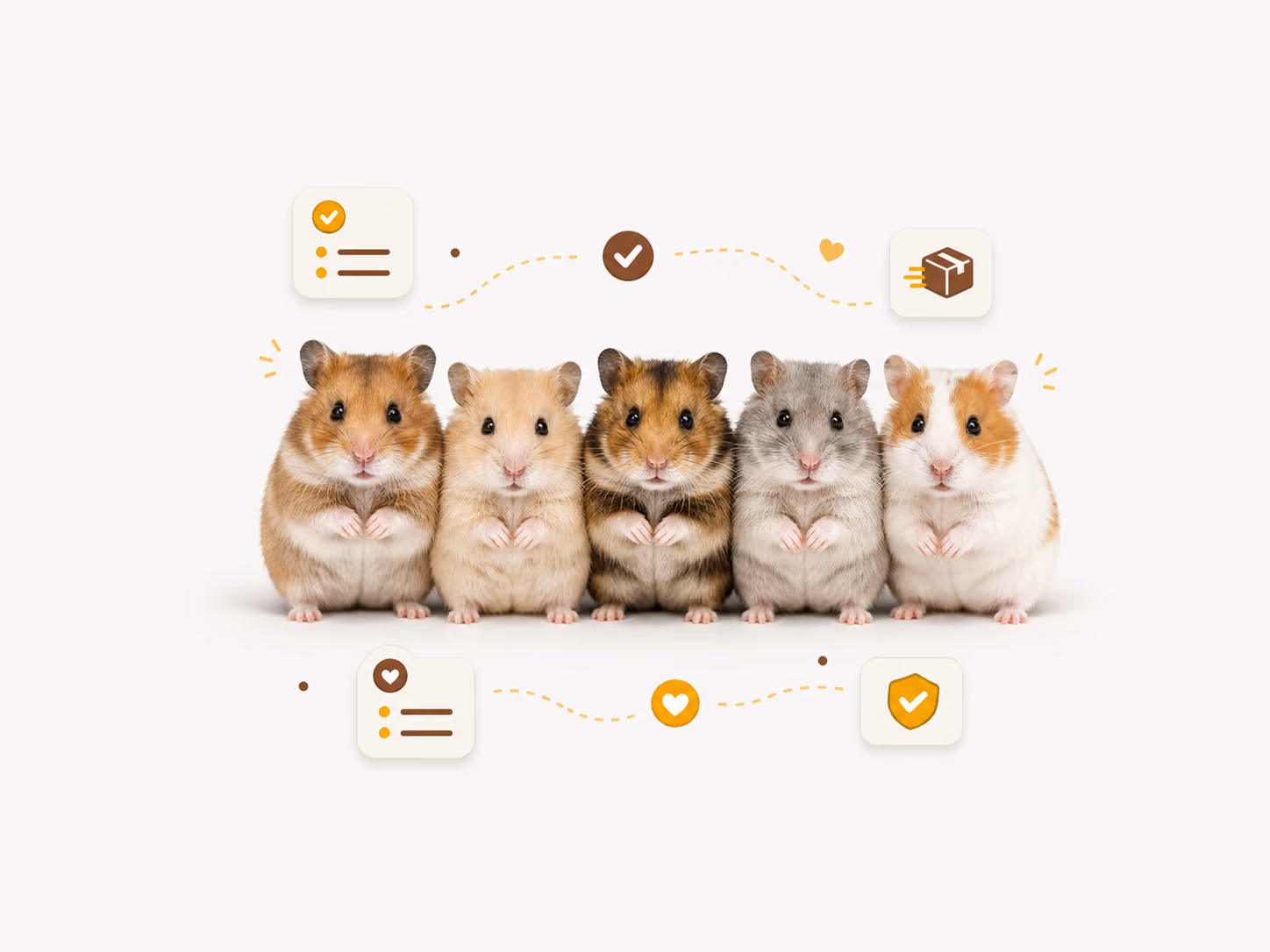 Berbagai tipe hamster Hamslisio siap dipilih